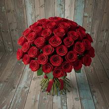 Букет 55 Красных роз Фридом #REPLACE_PRED# Кощеево