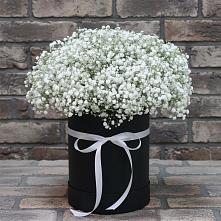 Цветочная композиция из Гипсофила в шляпной коробке #REPLACE_PRED# Кощеево